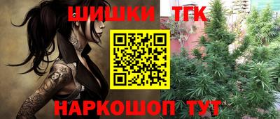 герыч Гагарин