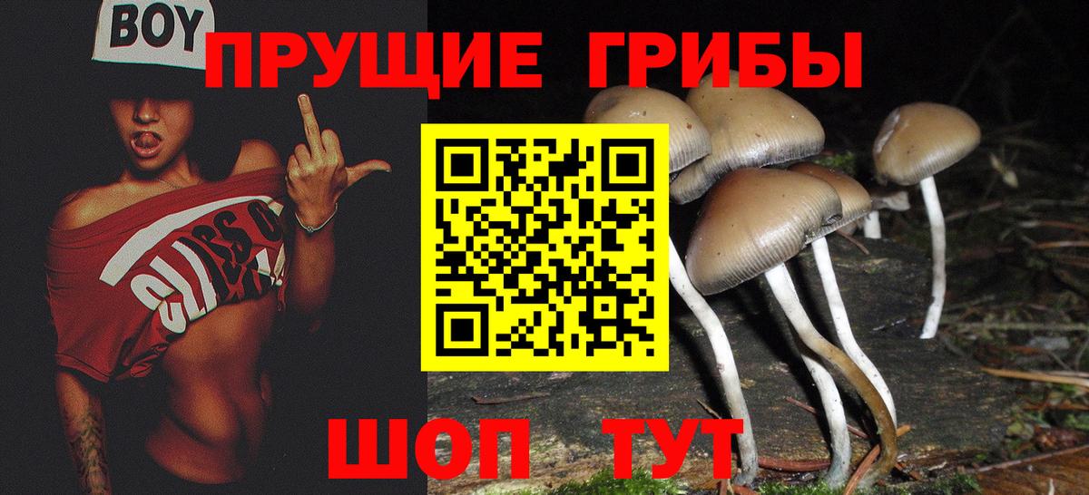 Галлюциногенные грибы прущие грибы Королёв